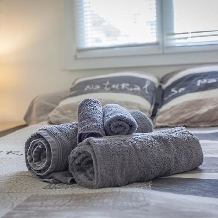 Apartament Paul Janet Grenoble Zewnętrze zdjęcie