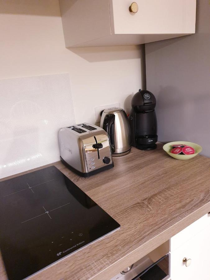 Apartament Paul Janet Grenoble Zewnętrze zdjęcie