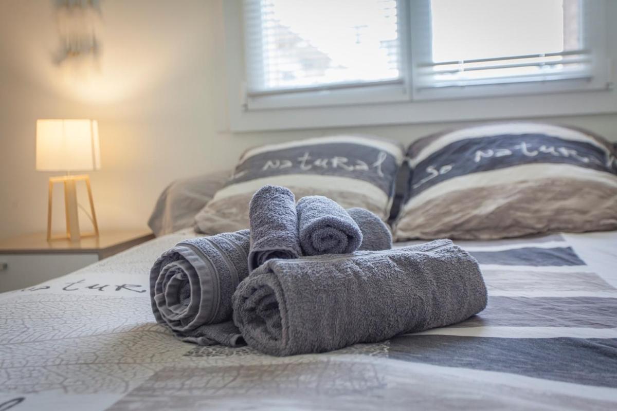 Apartament Paul Janet Grenoble Zewnętrze zdjęcie